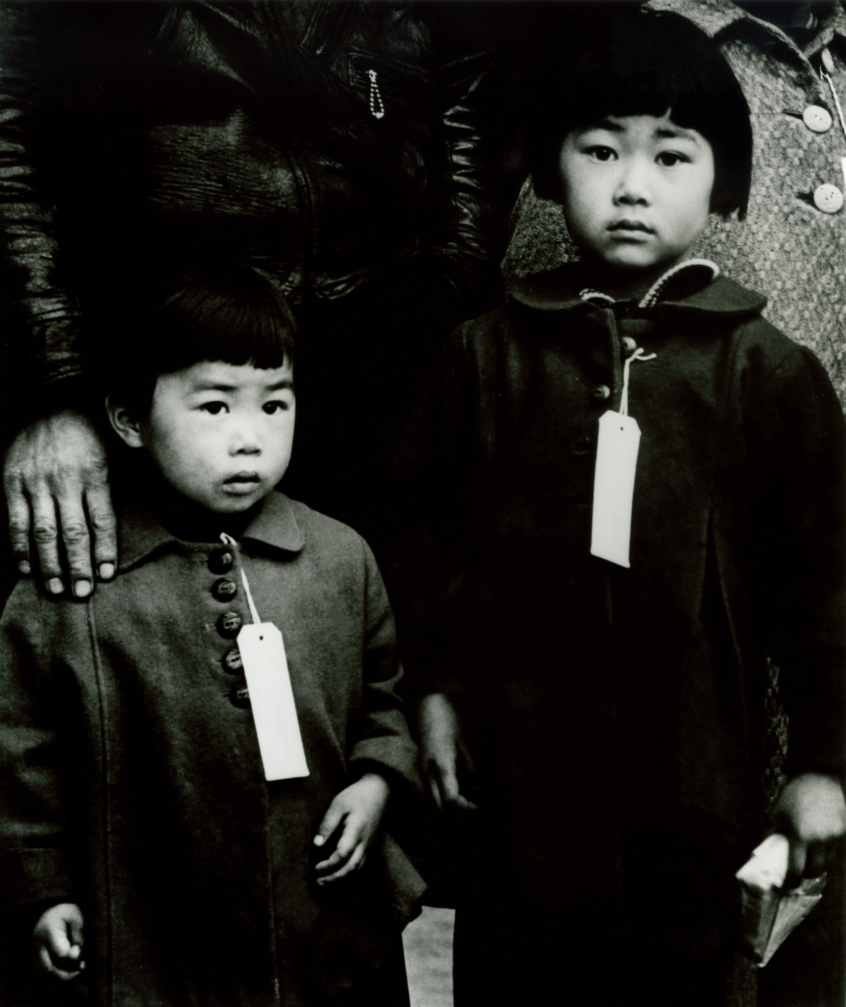 Enforcement of Executive Order 9066. Japanese children made to wear identification tags, Hayward, California, 1942