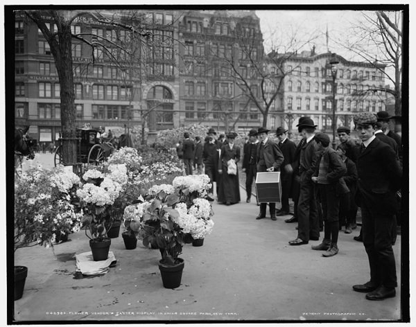 Union Square flower market, 1900's