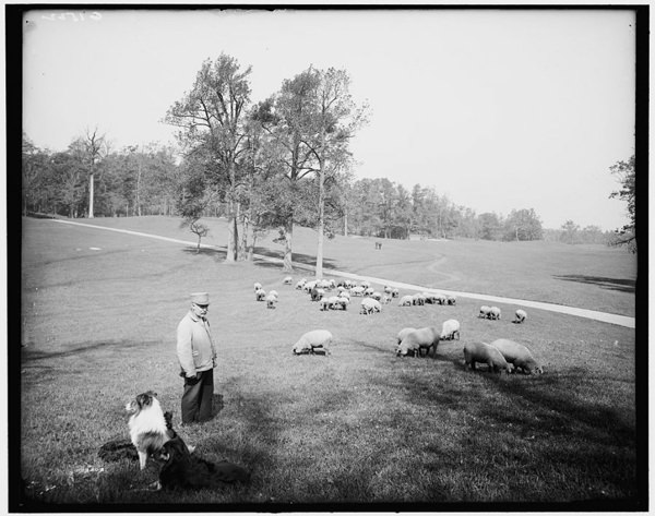 Prospect Park, 1900s