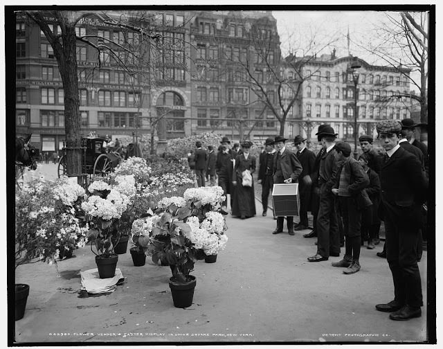 Union Square, flower market, 1900s