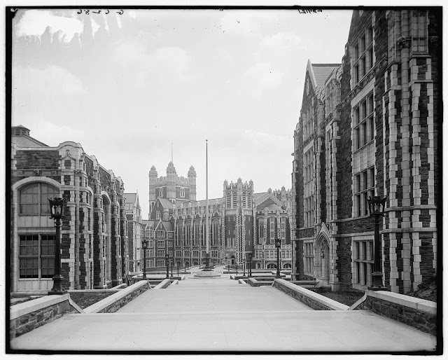 College of the City of New York, 1900s