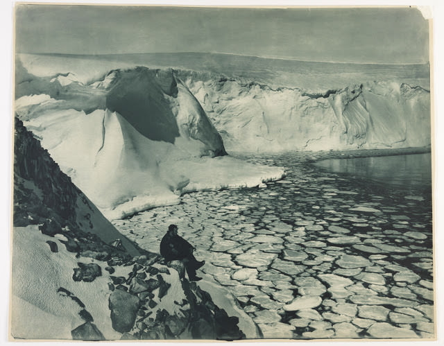 F. Bickerton looking out over seas near Commonwealth Bay, 1912