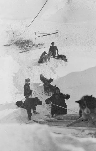 Unloading dogs at Western Base, February 1912