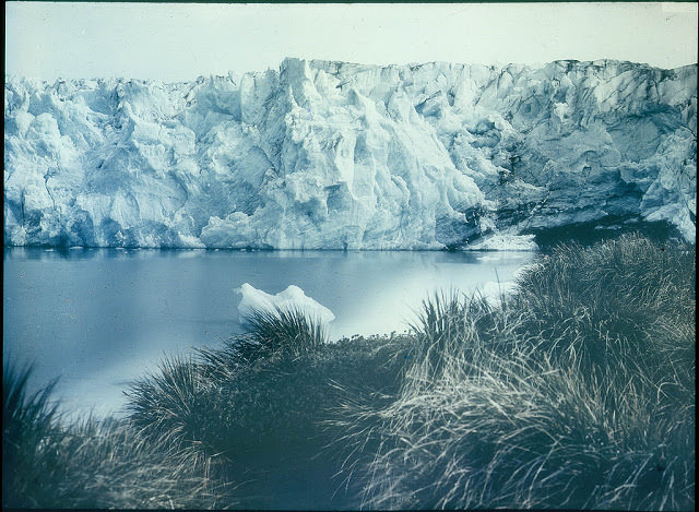 Glacier in New Fortuna Bay, 1915