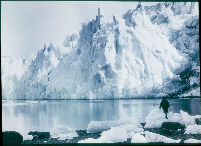 New Fortuna Glacier, 1915