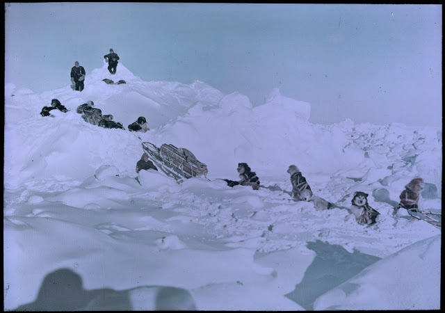 Dog teams scouting a way to the land, 1915