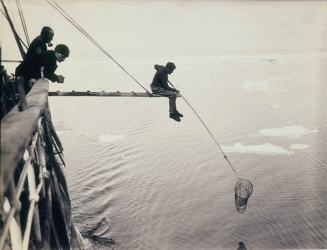 Hamilton hand-netting for macro-plankton from Aurora, 1912
