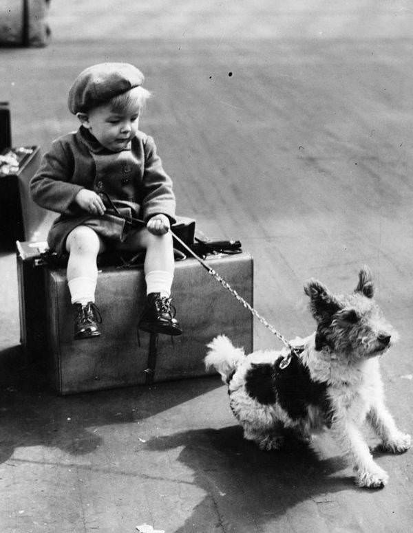 A young refugee hangs onto his dog's leash whilst awaiting wartime evacuation, 1940.