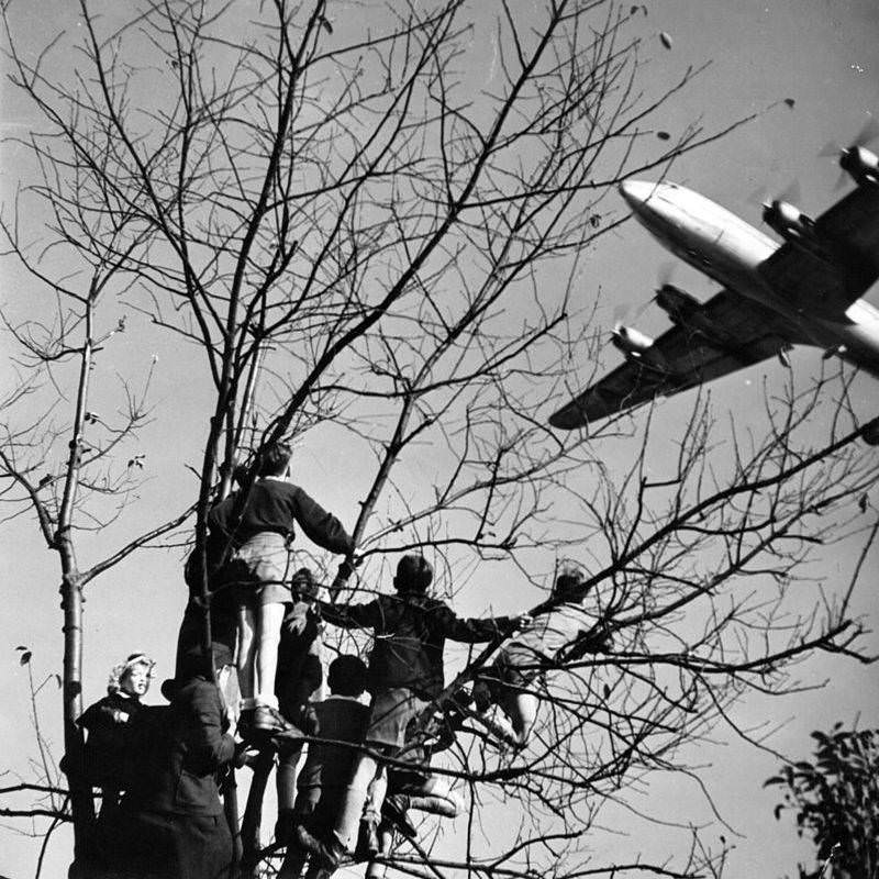 Children perch on a tree near the Brandenburg Gate to watch a U.S. cargo plane arrive during the Berlin Airlift. June 24, 1948.