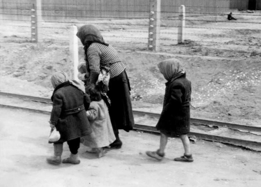 An elderly woman and several children walk to the gas chambers of Auschwitz-Birkenau. Poland. 1944.