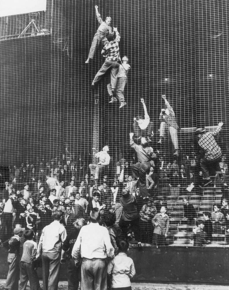 Baseball fans climb the netting to retrieve a foul ball, causing a stoppage of play in a game between the Philadelphia Athletics and the Cleveland Indians at Shibe