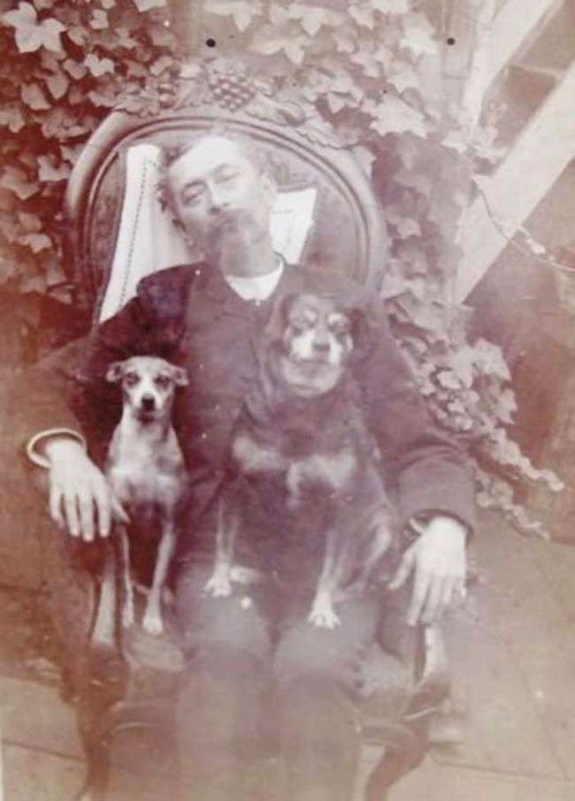 Dead man in a chair with his dogs.