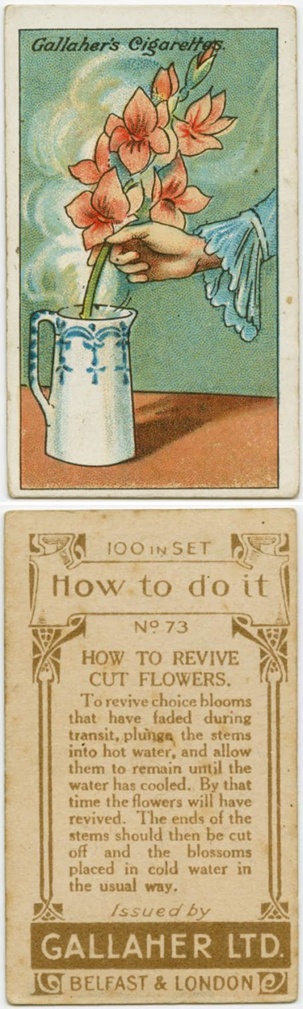 50+ Useful Everyday Life Hacks From 1900s That Are Still Useful Today