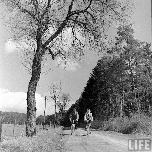 50+ Photos That Capture Honeymoon Of A Couple On Battlefields of WWII