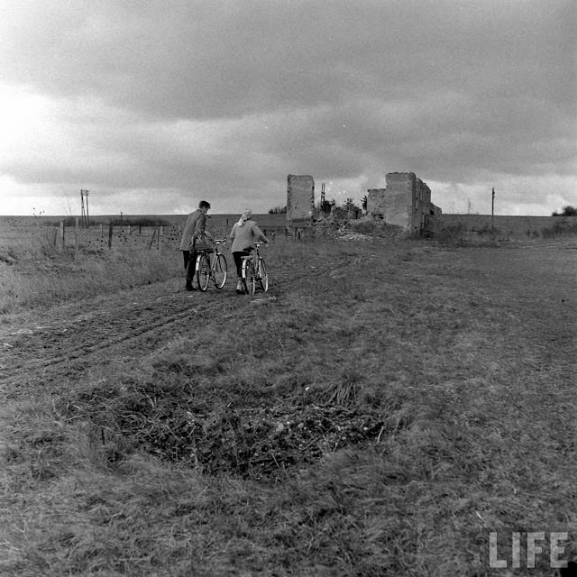 50+ Photos That Capture Honeymoon Of A Couple On Battlefields of WWII