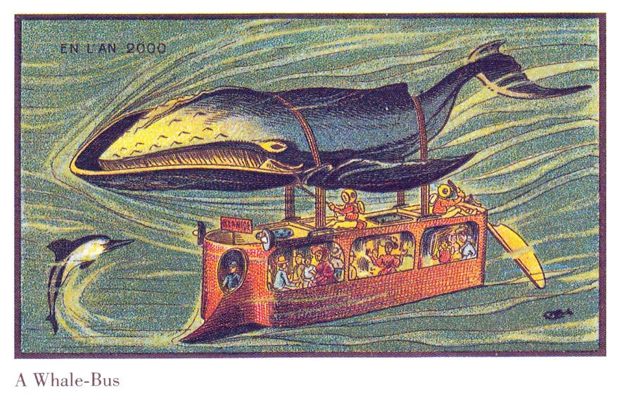 Whale Bus