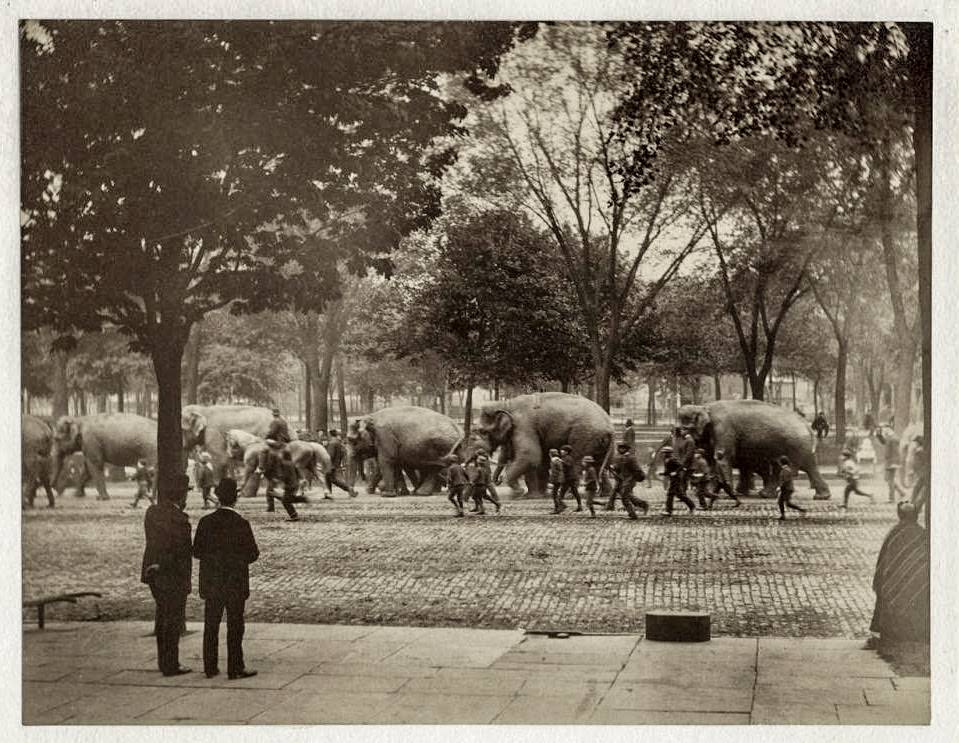 Circus Parade, Washington Park, Albany, 1880