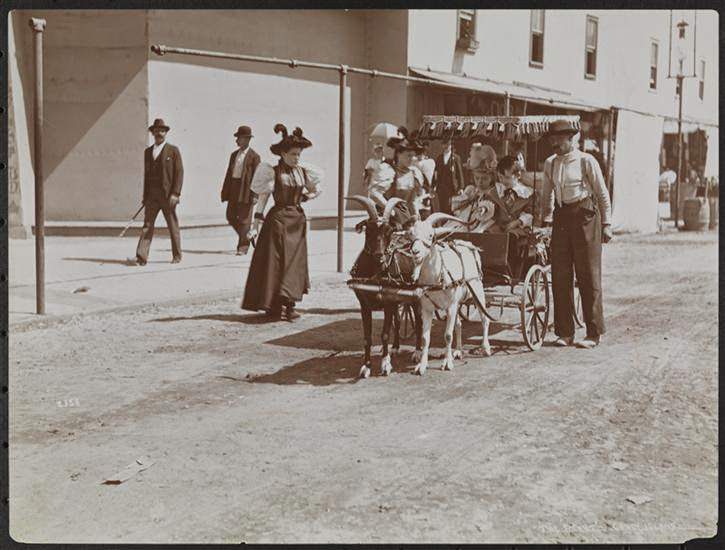 Coney Island, 1896