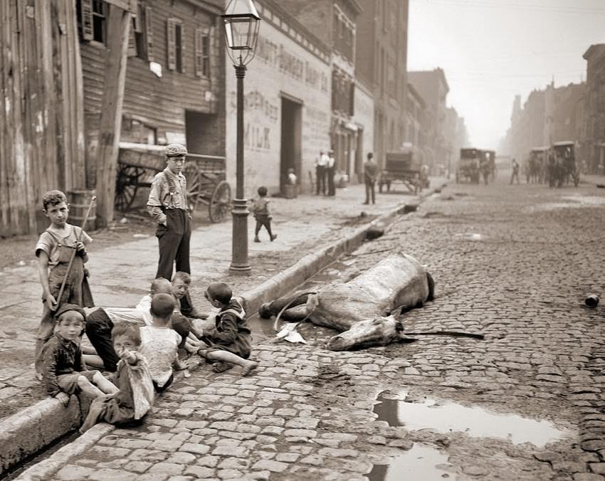Playing children near dead horse, 1899