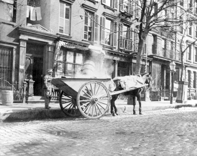 Horse-drawn ash cart. New York City, 1896