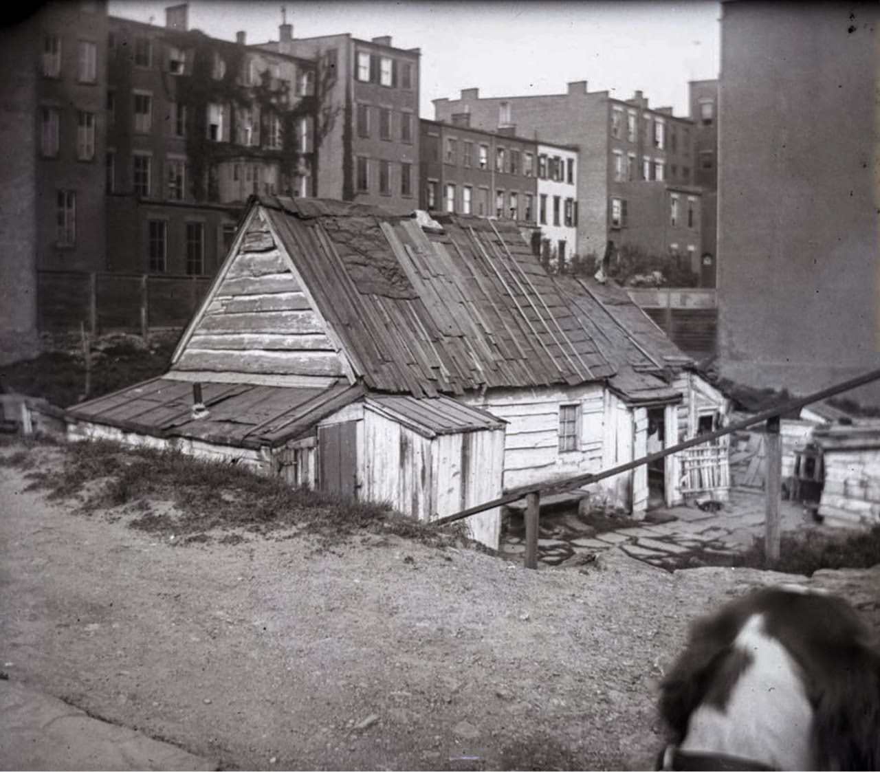 Madison Avenue at 77th Street, 1891