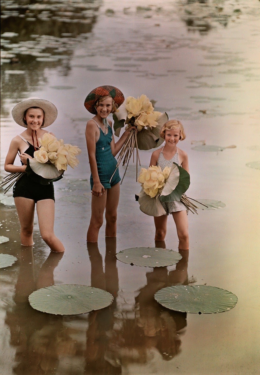 Girls standing in water holding bunches of American Lotus, Amana, Iowa, 1938