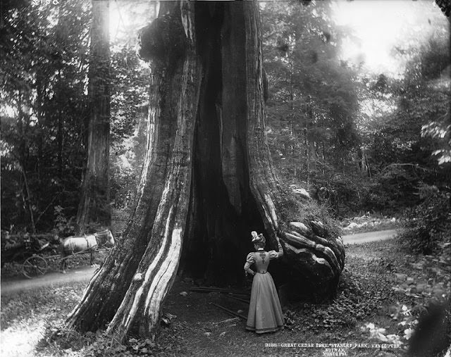 Stanley Park, Vancouver, 1897