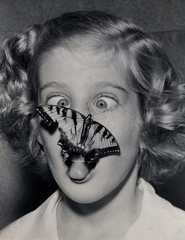 A butterfly captured by Susan Bermann, flutters out of its jar and lands on her nose.