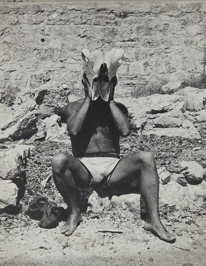 Maar Dora, Picasso au crâne de boeuf, 1937
