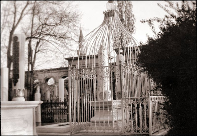 Constantinople. Cemetery in Skutari (Üsküdar), 1903