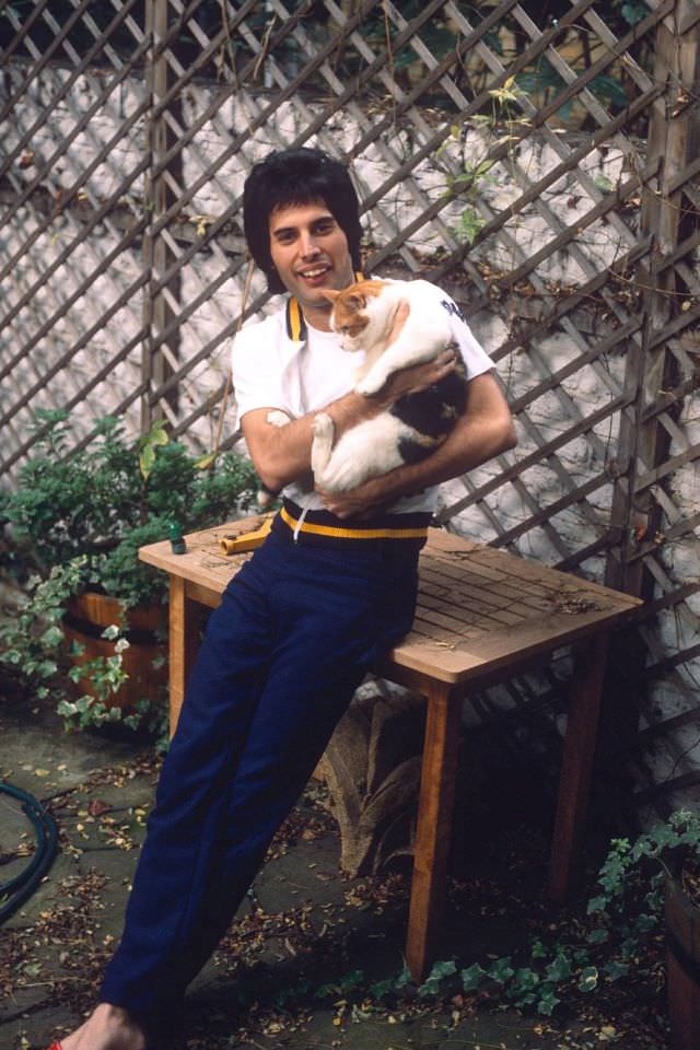 Freddie Mercury Posing With His Beloved Cats