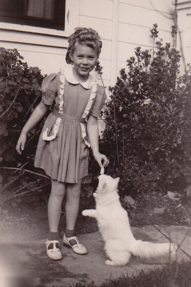 A Little Girl Feeding Her Cat