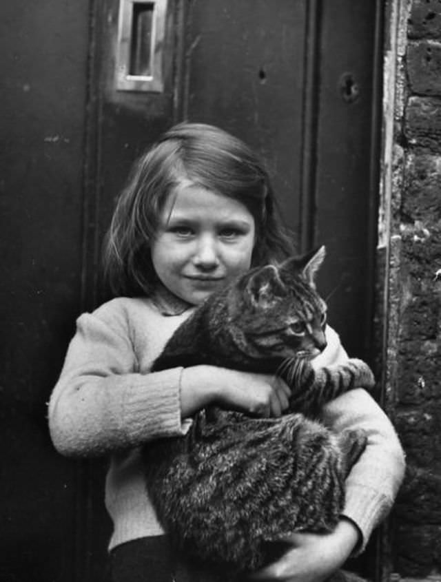 A Little Girl With Her Cat
