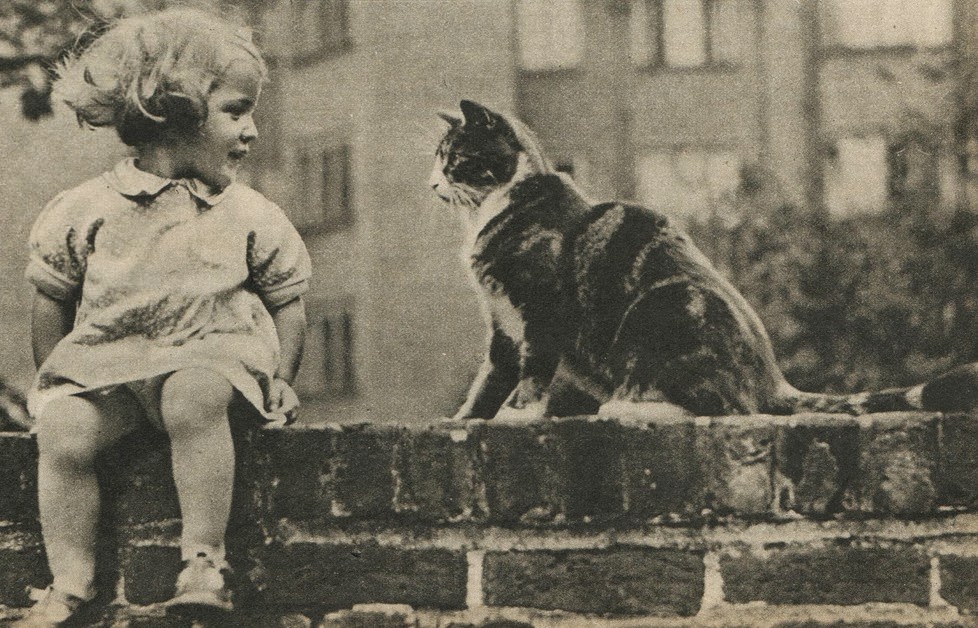 Little Girl With Her Cat, 1960