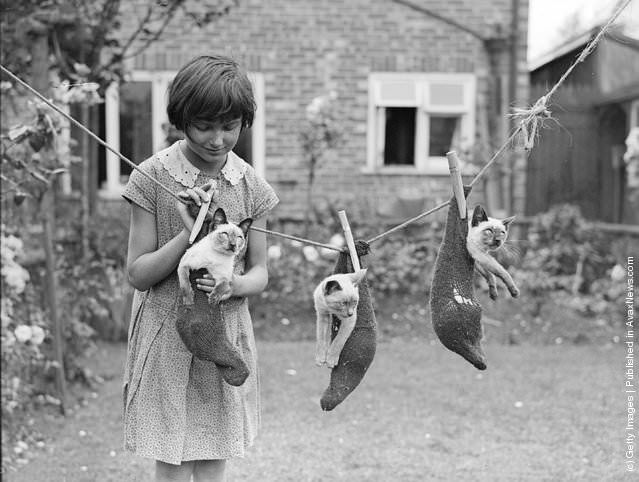 Three Little Cat Hanging In A Garden in Croydon, London, 1931
