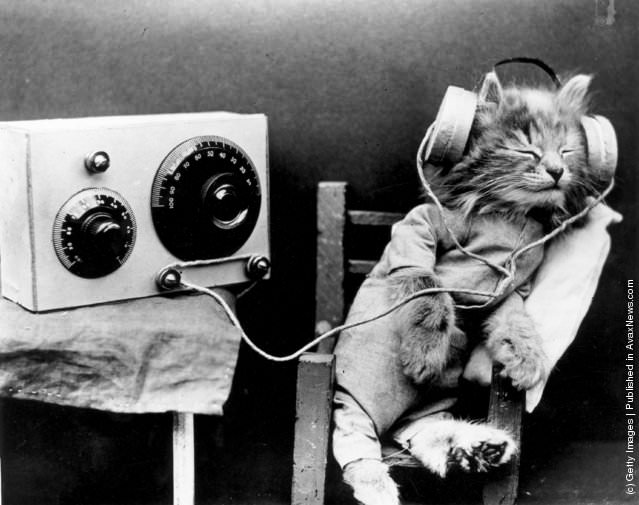 A Cat Listening Radio, 1926
