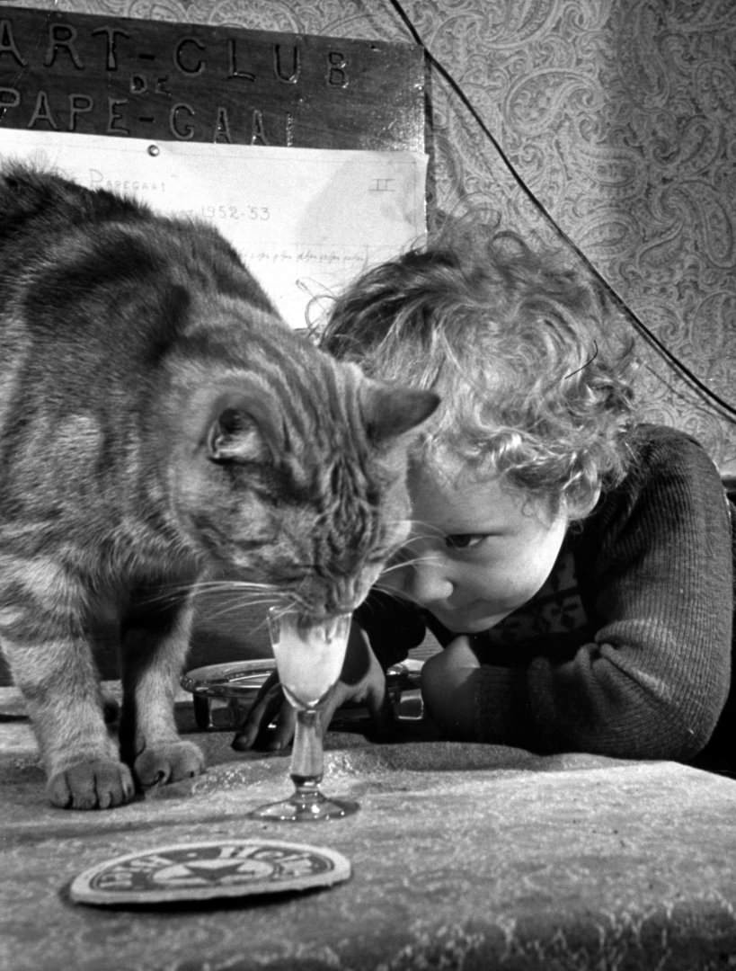 Dutch Billiards Prodigy Renske Quax Feeding Cream To His Cat, 1953