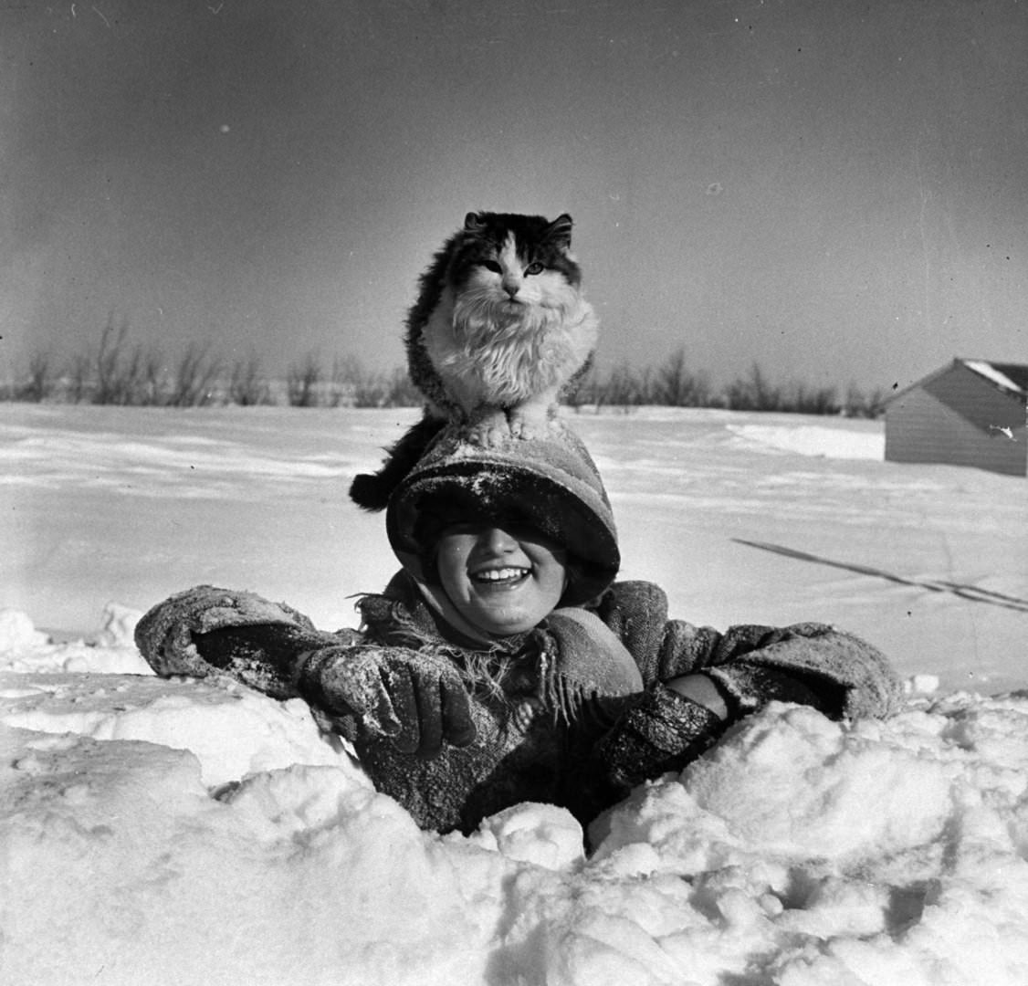 Sharon Adams, 10, Playing In A Snow Drift As Her Cat Maintains Its Comfortable Perch Atop Her Head, 1952