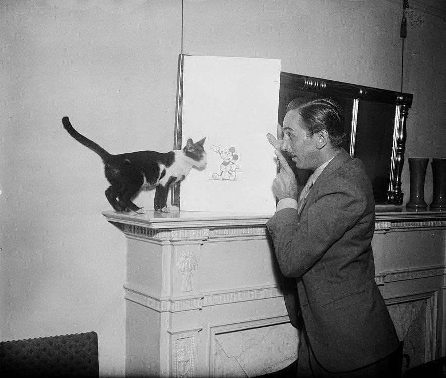 Walt Disney Showing A Cat His Mickey Mouse Drawing, 1931