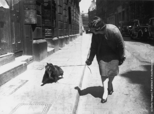 Going For A Walk With Her Human, 1938