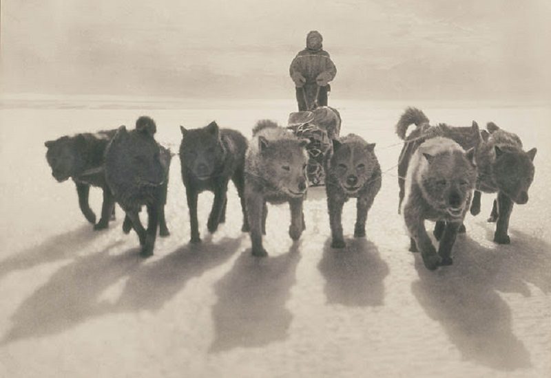 Antarctic expeditions 20th century