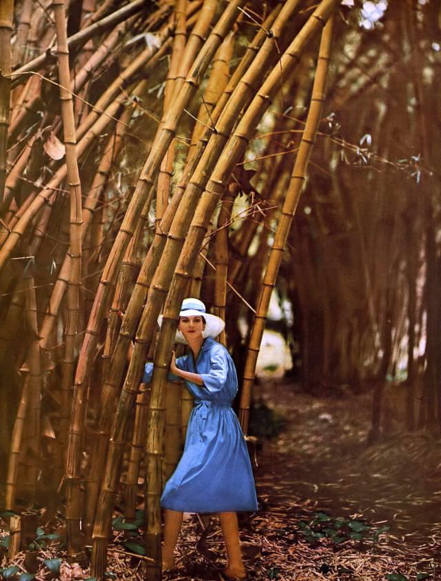 Carmen in blue Supima cotton shirtwaist dress by David Crystal, photo by Gleb Derujinsky, Hawaii, Harper's Bazaar, 1959.