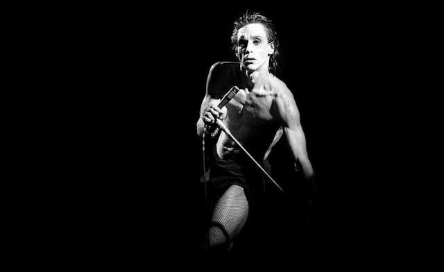 Iggy Pop