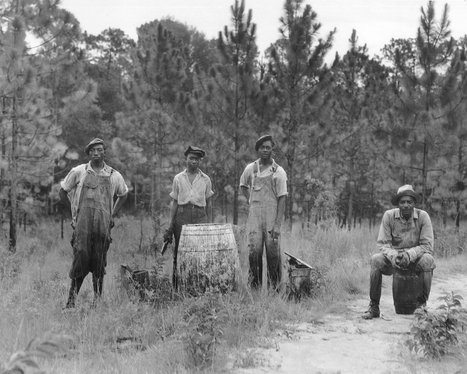 Workers extracting turpentine in a Georgia forest, 1930s
