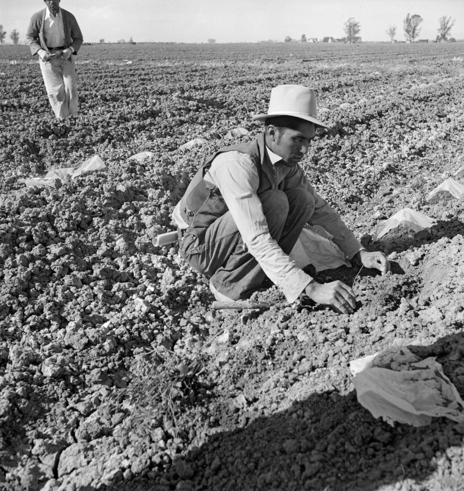 Mexican migrant worker, Imperial Valley, California, 1937