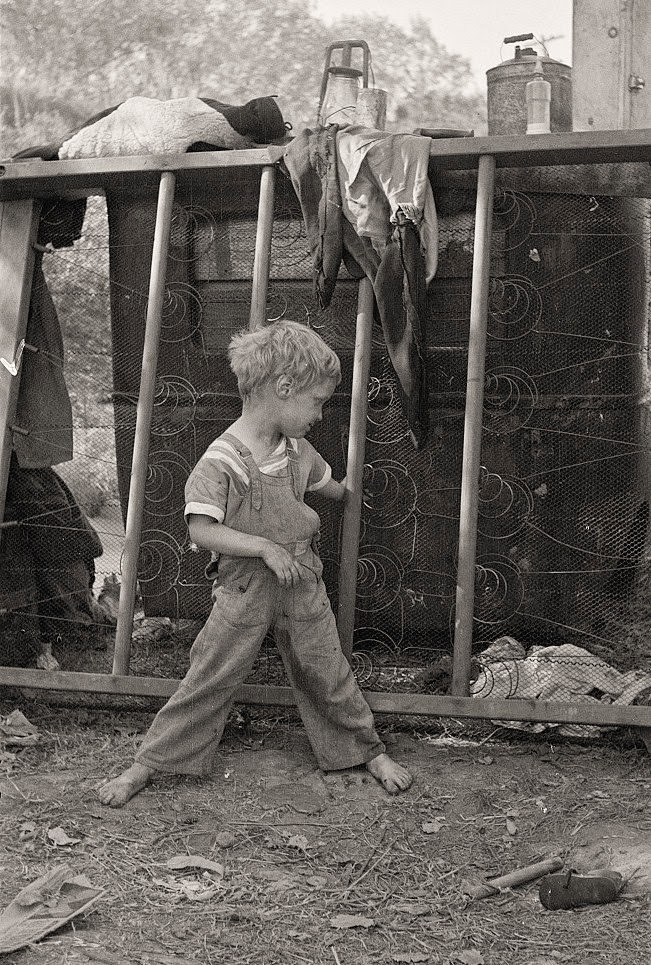 Son of destitute migrant, American River camp, near Sacramento, California
