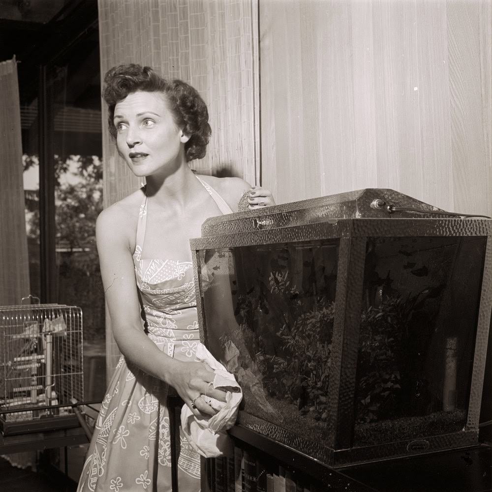 50+ Rare And Stunning Pics Of Young Betty White From Her Early Career