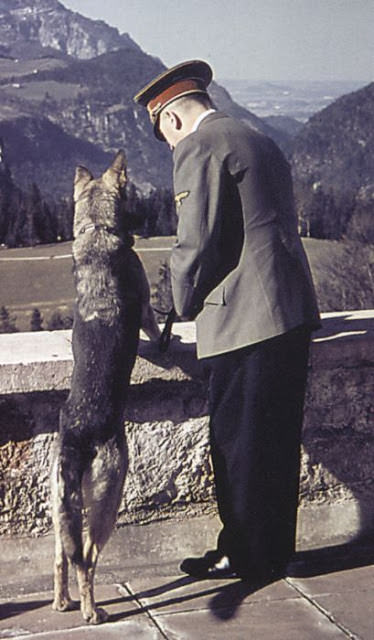 Adolf Hitler with his eloved Dog Blondi