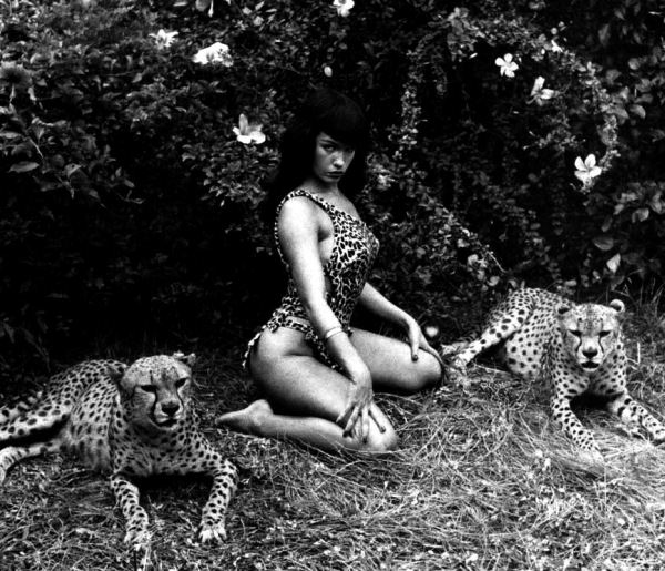 Queen of Pinups: 50+ Fascinating Photos Of Bettie Page