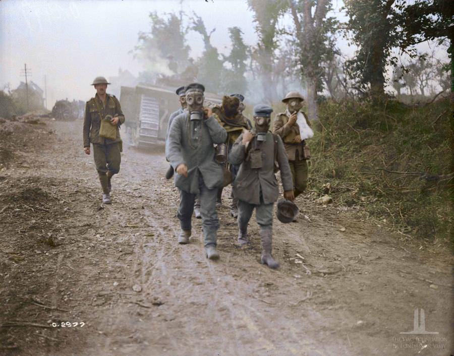 Battle of amiens Tanks Advancing . prisoners bring in wounded wearing gas masks, August 1918